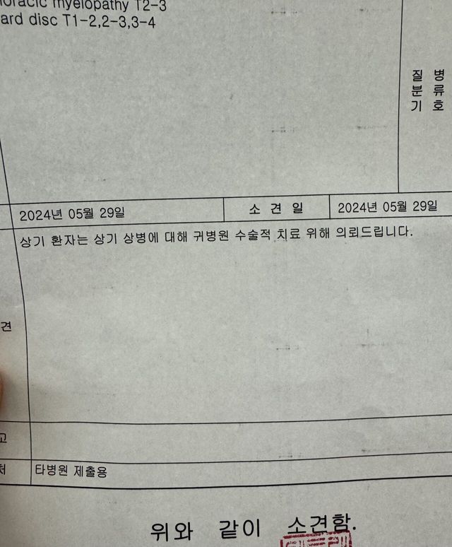 다시는 못 걷게 될 줄은 몰랐네