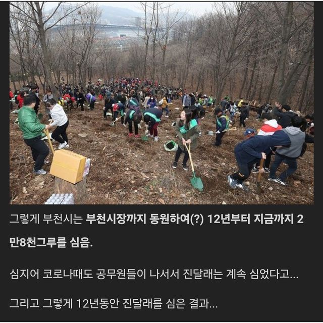 1000037424.jpg 마땅한 핫플이 없는게 아쉬웟던 부천시의 12년간의 노력