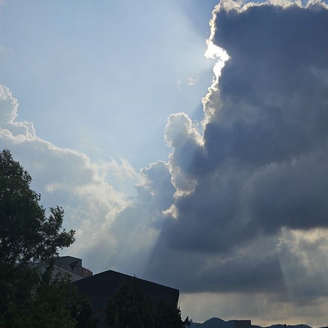 20240608_171300.jpg 오늘찍은 하늘사진인데 어떰