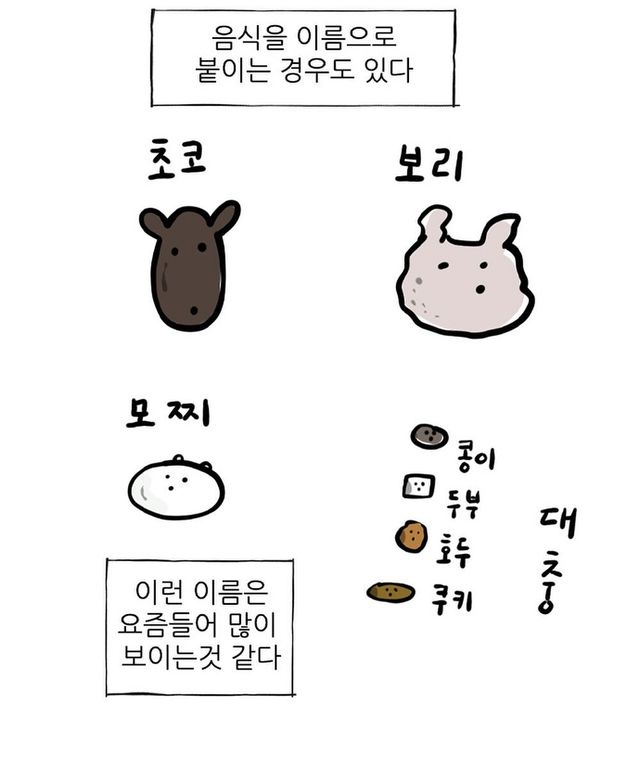 조석이 제일 좋아하는 강아지 이름