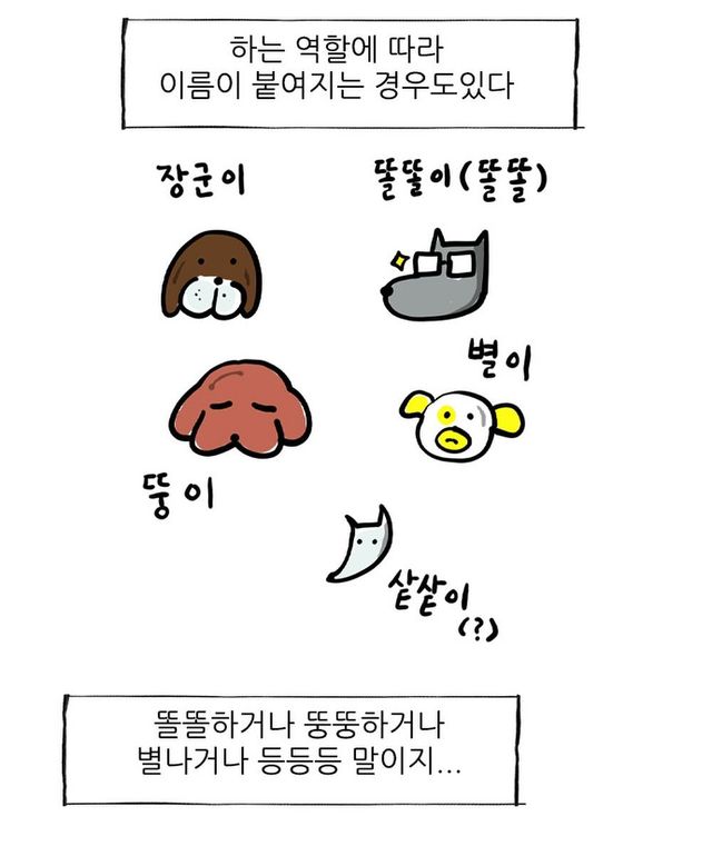 조석이 제일 좋아하는 강아지 이름