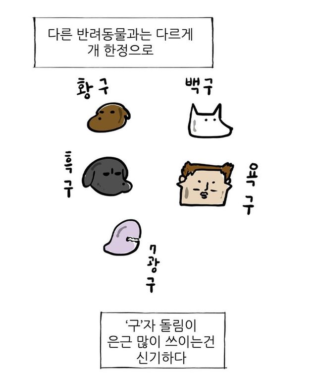 조석이 제일 좋아하는 강아지 이름