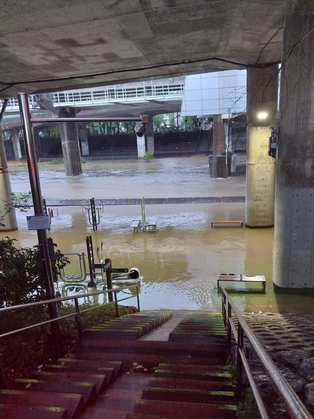 실시간 도림천 상황