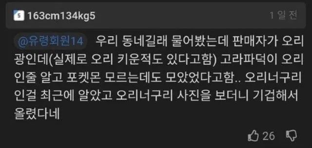 7469442339_486616_c7f3748d23d9e873e29a5d14fe6b5b8b.jpg 포도?저?격?) 고라파덕 오리포켓몬 맞습니다