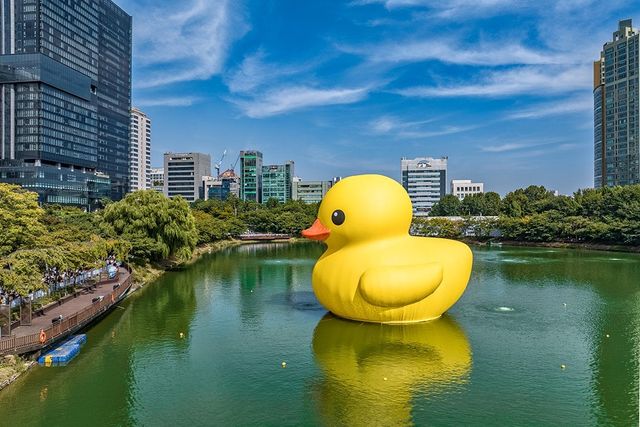 2684b6ff4473836374a2db49.jpeg 포도?저?격?) 고라파덕 오리포켓몬 맞습니다