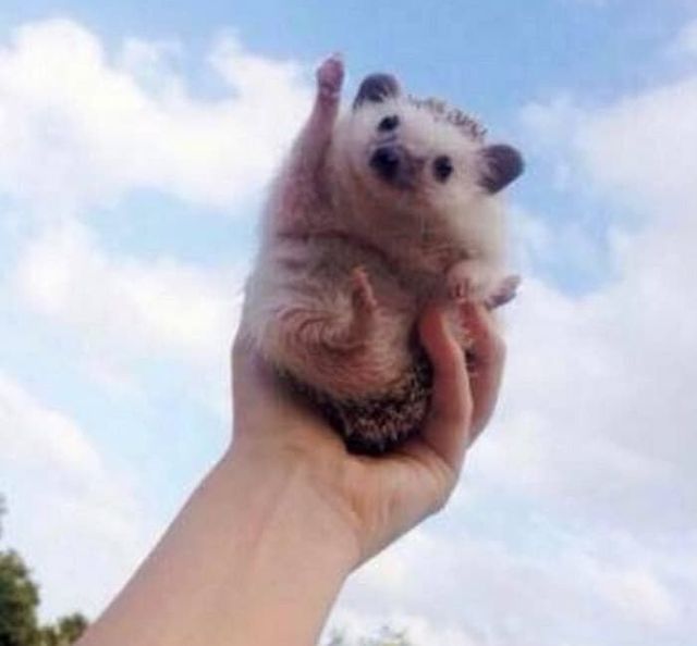 v4q0b0ff4hcpew1g6t39.jpg 와 개꿀이네 이틀만 근무하면 주말이네