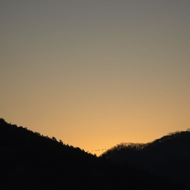 20250101_074536.jpg 해맞이 구경중 굿샷찍힘