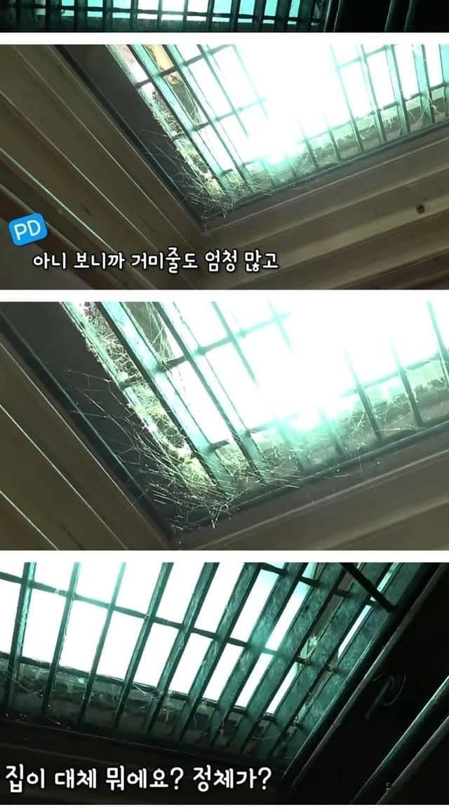 image.png 서울 반지하 레전드 ㄷㄷㄷ