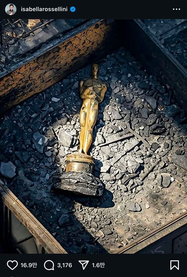 헐리웃까지 덮친 화마