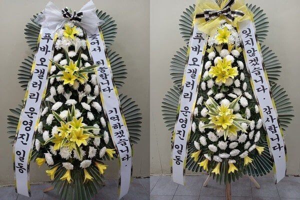 다시보는 푸바오 갤러리 선행