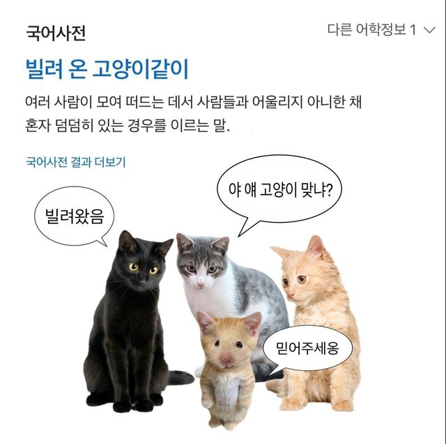 실제로 있는 귀여운 속담
