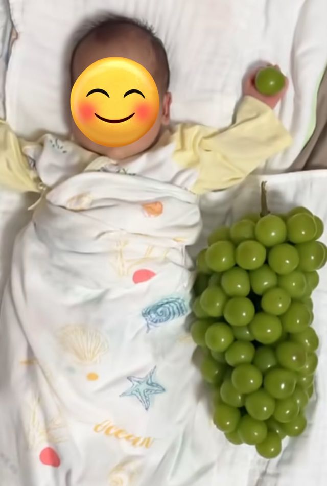 Gho3CR1bMAARUXw.jpg 인스타에서 본 샤인머스캣 아기.jpg