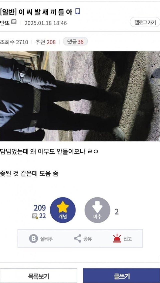 폭동 실패한 탈론