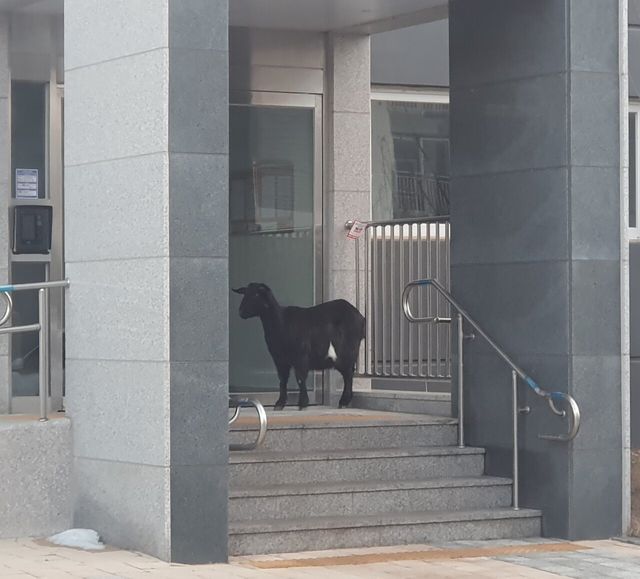 실시간 퇴근하고 집에 못 들어가는 중