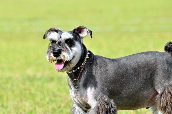 내가 살면서 들은 가장 황당한말