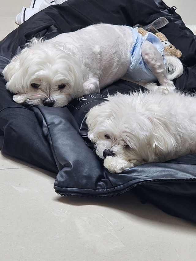 와이프 오늘부터 1주간 태국갔다옴