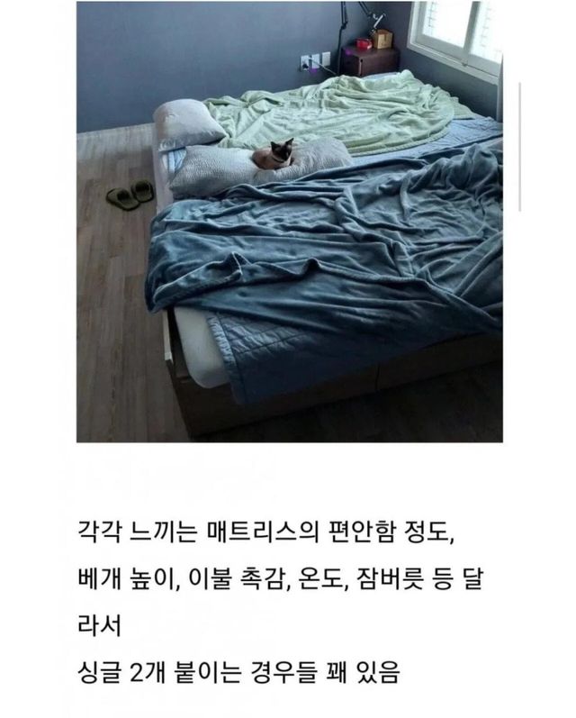 IMG_9282.webp.ren.jpg 요즘 많이들 한다는 부부 침대 모습 근황.jpg