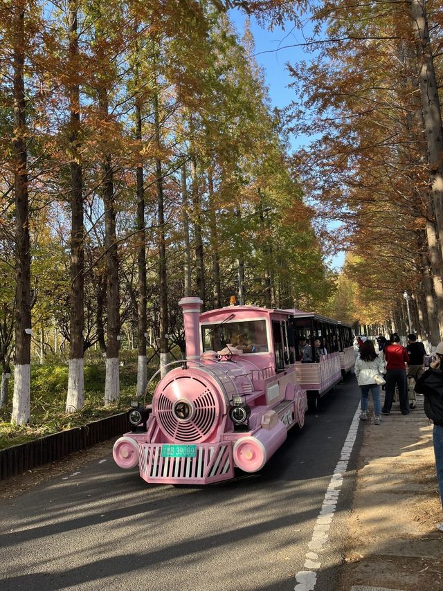 암 4기 생존신고