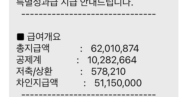 image.png 하이닉스 직원 성과급 근황ㄷㄷ