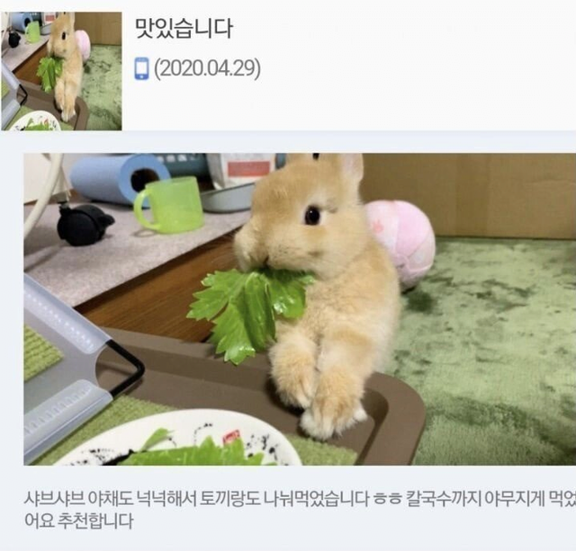 만족도 최상급 샤브샤브 배달 리뷰.JPG