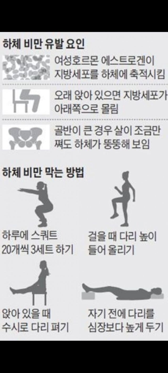 여자에게 하체비만이 많은 이유