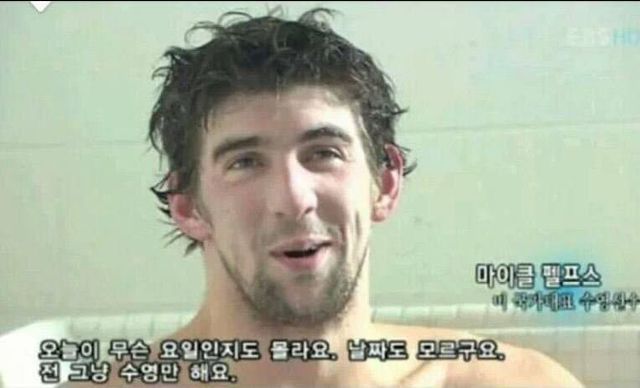 2222222.jpg 요즘 보디빌딩계 저격하는 디시인 ㄷㄷㄷ.JPG