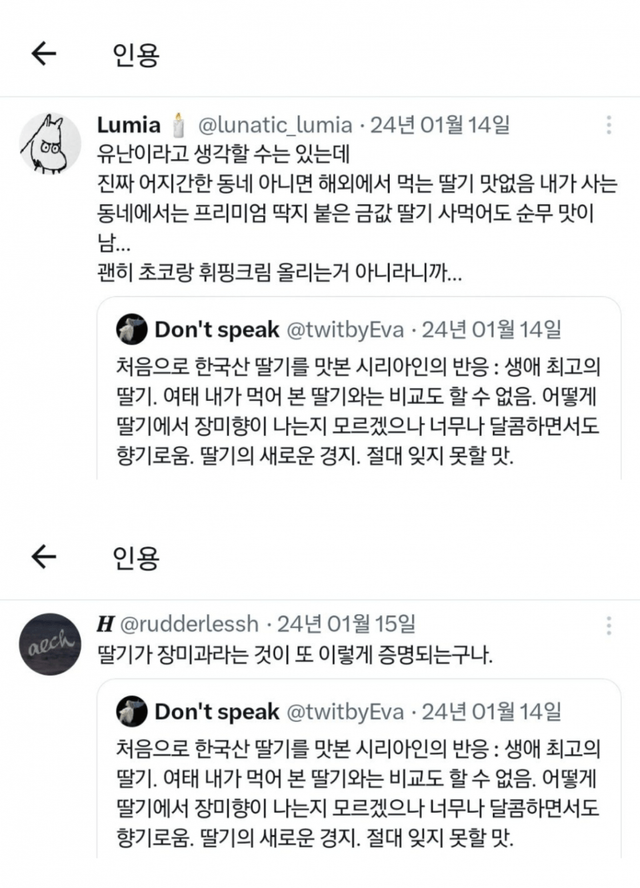 qwert.png 한국산 딸기를 맛 본 시리아인 반응