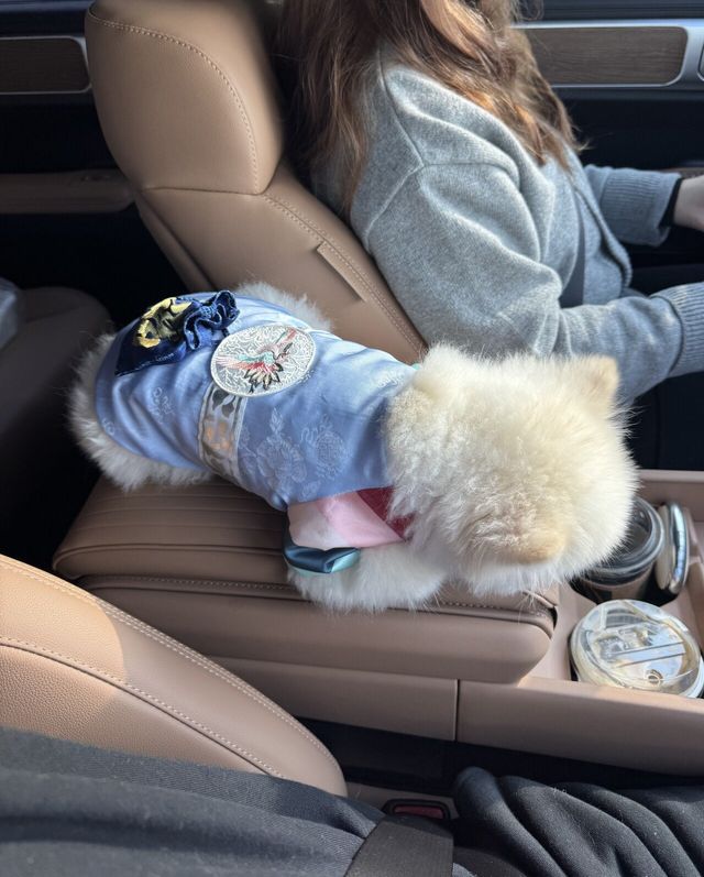 설 아침부터 영혼까지 불태운 우리 강아지