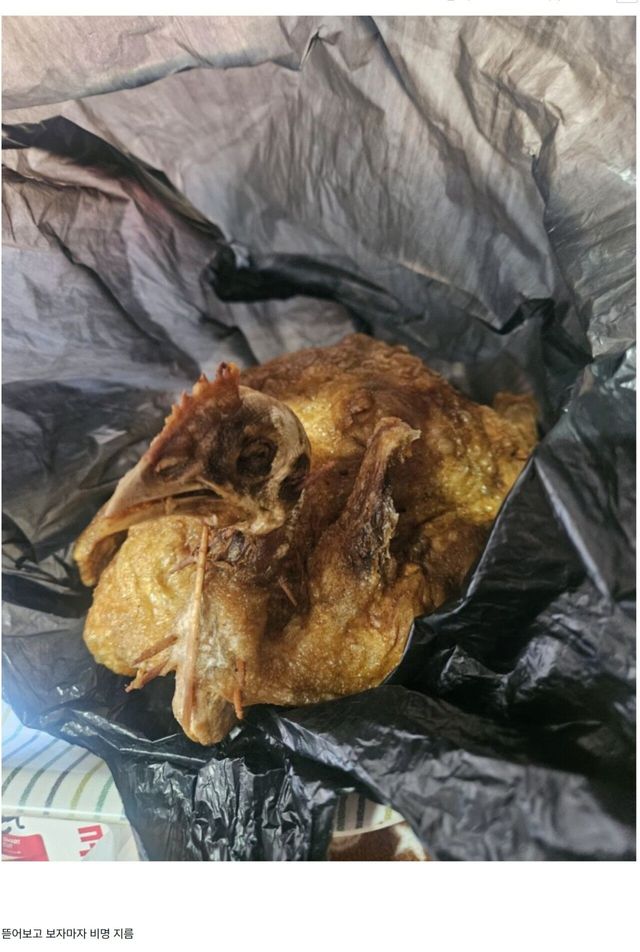 chii.jpg 옛날 통닭을 샀더니....jpg