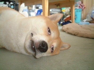 좋겠다 니들은 오늘 출근이라서