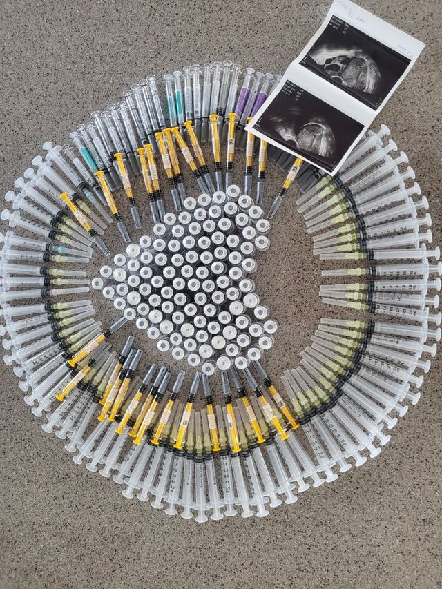 세쌍둥이 애국포 받으러 왔습니다.