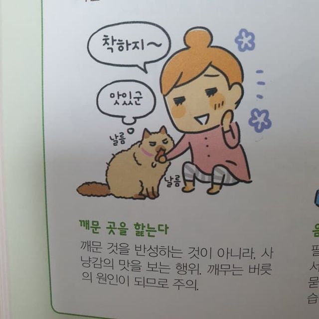 고양이가 깨문 곳을 핥는 이유