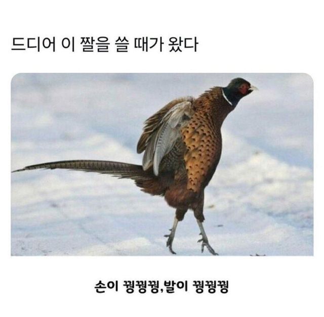 현재 날씨상황.jpg