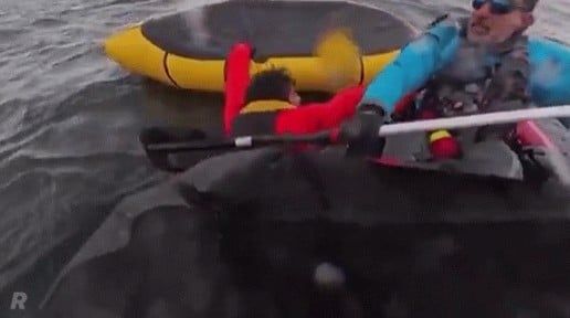 흑동고래에게 살아난 칠레 남성 -cboard