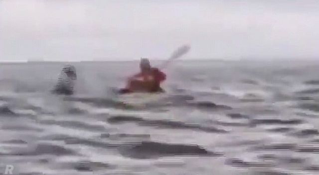 흑동고래에게 살아난 칠레 남성 -cboard