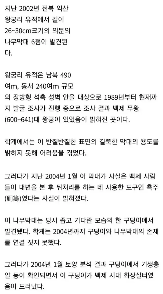 왕릉에서 발견된 6개 나무 정체 -cboard