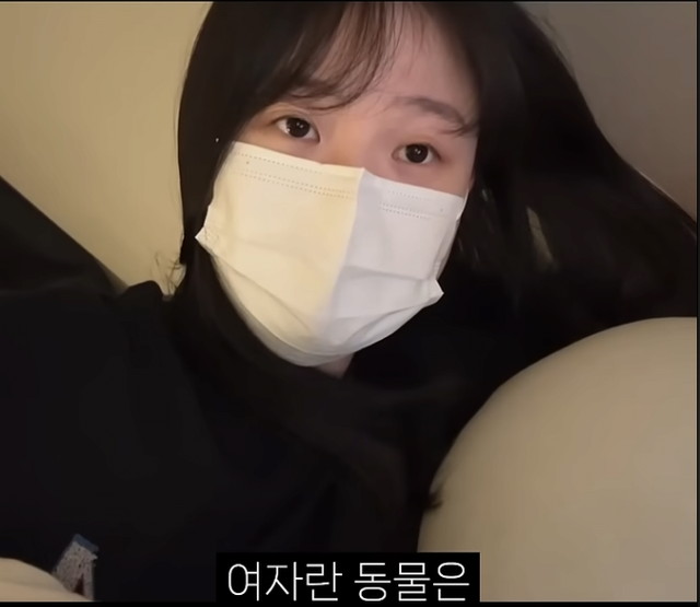 image.png 자취하는 여자에대해 말하는 유튜버