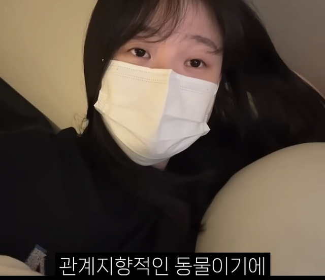 image.png 자취하는 여자에대해 말하는 유튜버