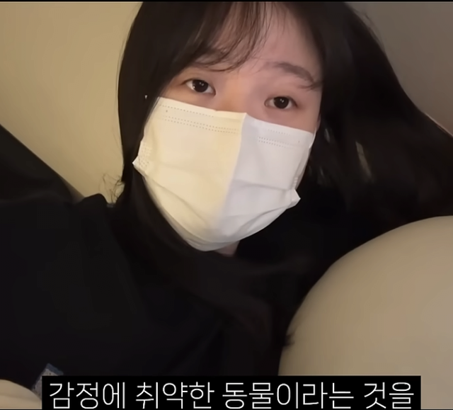 image.png 자취하는 여자에대해 말하는 유튜버