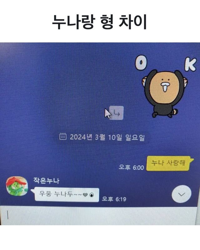 누나와 형 차이 레전드 ㅋㅋㅋㅋㅋㅋㅋㅋ