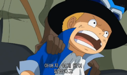 image.png 원피스 애니메이션 500화 - 빼앗겨버린 자유!