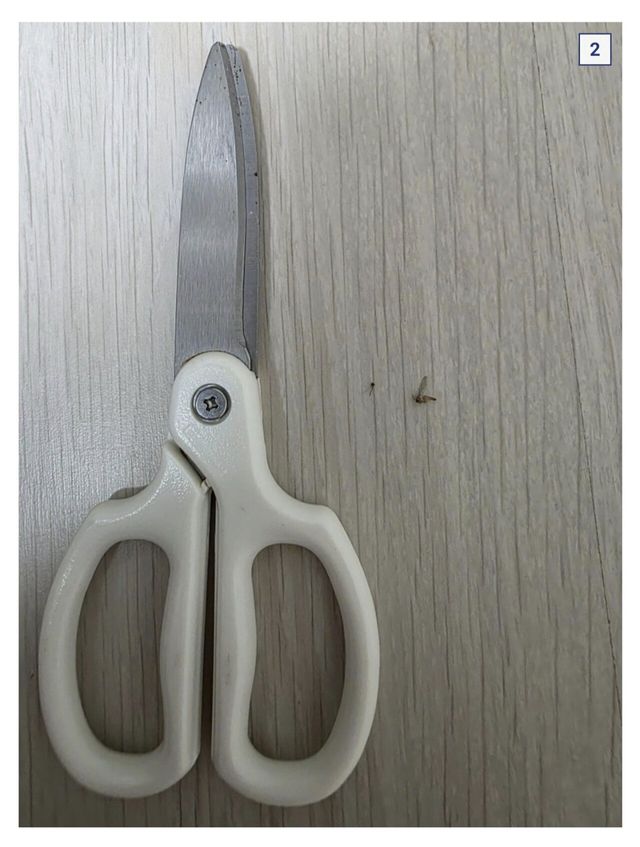 Screenshot_20250529_114008_NAVER.jpg (혐??) 디씨 모기갤러리 근황.jpg