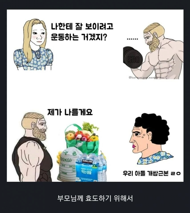 image.png 남자들이 헬스하는 이유