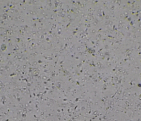 image.png 올리브영 남성 코너 근황 ㄷㄷㄷㄷㄷㄷㄷㄷ