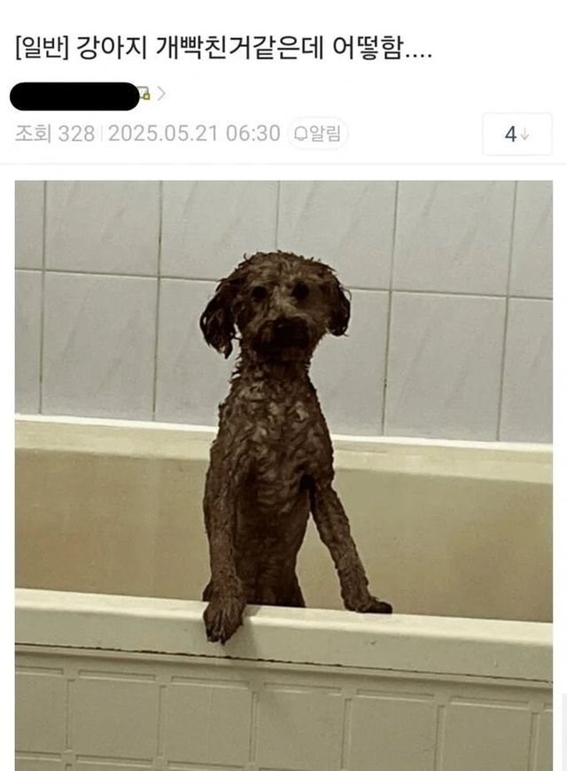 ee1.jpg ADHD 갤 레전드 ㄷㄷㄷㄷㄷㄷ.jpg