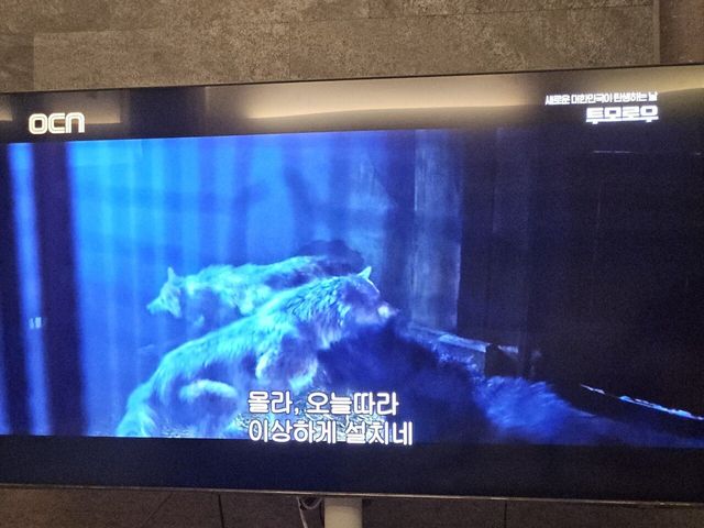 실시간 OCN 대선 특집 영화