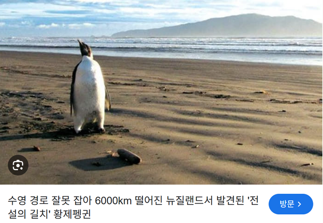 image.png 다른 사이트에서 넘어온 놈들 상황