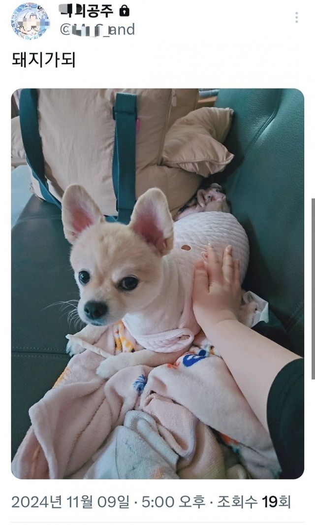 한남들 땀 냄새 심하다는 트위터녀의 팔인증.. 한남들 땀 냄새 심하다는 트위터녀의 팔인증.. 한남들 땀 냄새 심하다는 여자의 팔인증