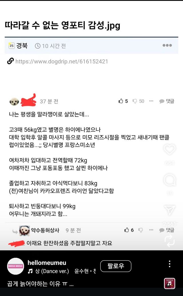 Screenshot_20250314_093439_Instagram.jpg 흉내낼수 없는 영포티 감성...jpg