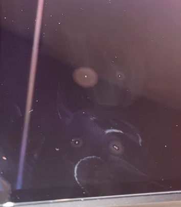 19744315423538f18.png 닌텐도 스위치2 최악의 판매라는 어느 게임 지점jpg